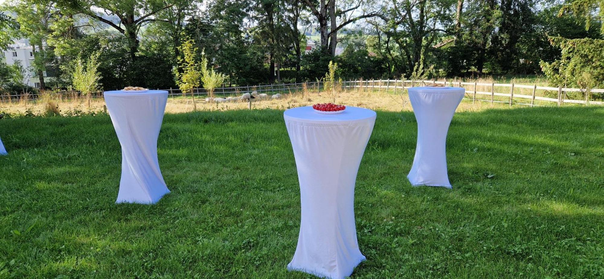 La Ferme Des Aretes Bed & Breakfast La Chaux De Fonds Dış mekan fotoğraf